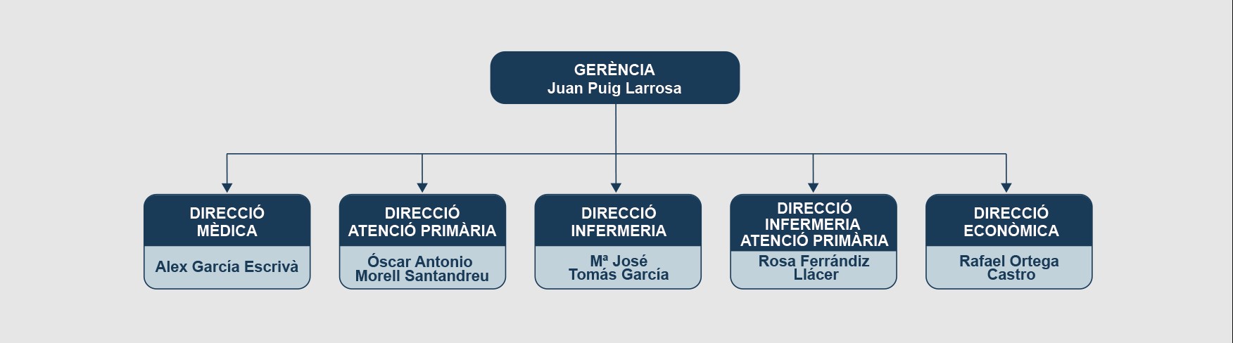 Figura 2: Estructura orgánica del Departamento de Salud de la Marina Alta.